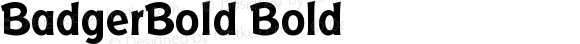 BadgerBold Bold Version April 9, 1993 v1.1i