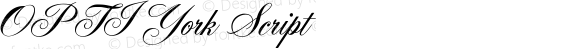OPTIYork-Script