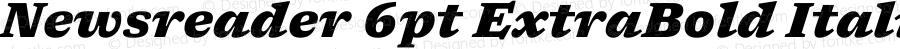 Newsreader 6pt ExtraBold Italic