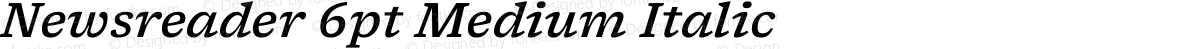 Newsreader 6pt Medium Italic