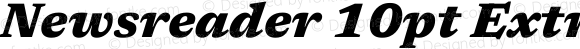 Newsreader 10pt ExtraBold Italic