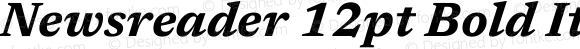 Newsreader 12pt Bold Italic Version 1.003
