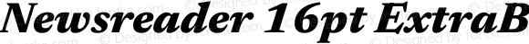 Newsreader 16pt ExtraBold Italic