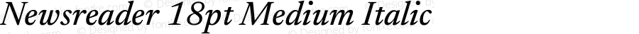 Newsreader 18pt Medium Italic