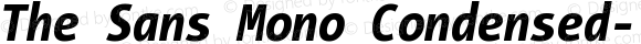 TheSansMonoCondensed Extra Bold Italic