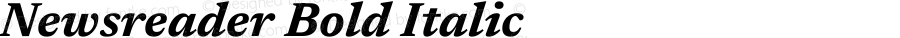 Newsreader Bold Italic
