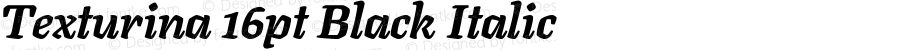 Texturina 16pt Black Italic