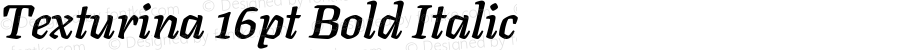 Texturina 16pt Bold Italic Version 1.002