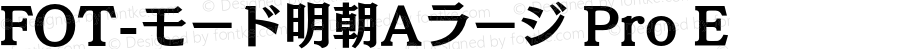 FOT-モード明朝Aラージ Pro E 