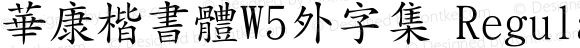 華康楷書體W5外字集