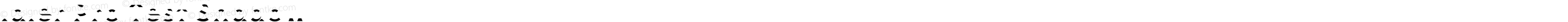Idler Pro Test Shadow
