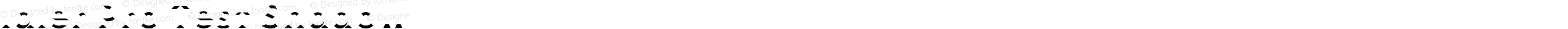Idler Pro Test Shadow