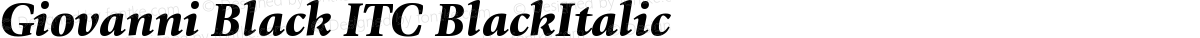 Giovanni Black ITC BlackItalic