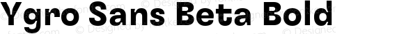 Ygro Sans Beta Bold