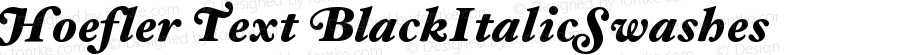 Hoefler Text Black Italic Swashes