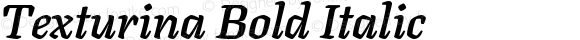 Texturina Bold Italic