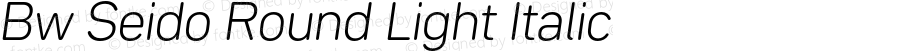 Bw Seido Round Light Italic