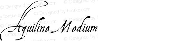 Aquiline Medium