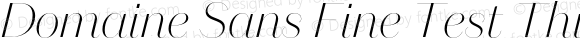 Domaine Sans Fine Test Thin Italic