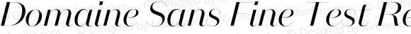 Domaine Sans Fine Test Regular Italic