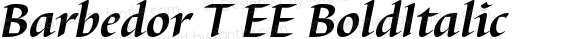 Barbedor T EE Bold Italic