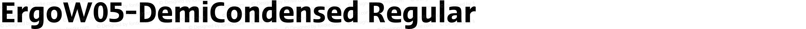 ErgoW05-DemiCondensed Regular