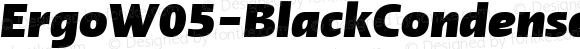 Ergo W05 Black Condensed Italic