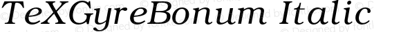 TeXGyreBonum Italic