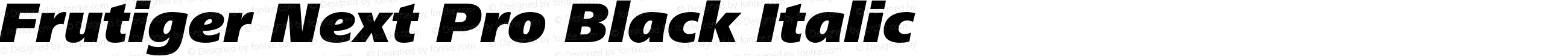 Frutiger Next Pro Black Italic