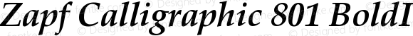 Zapf Calligraphic 801 BoldItalic