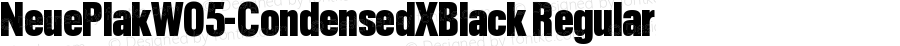 Neue Plak W05 Condensed XBlack