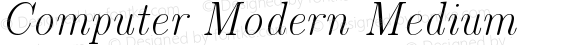 Computer Modern Italic