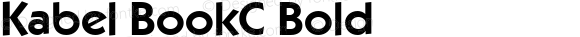 Kabel BookC Bold