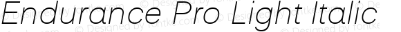 Endurance Pro Light Italic