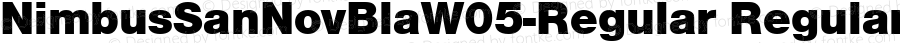 NimbusSanNovBlaW05-Regular Regular Version 1.00