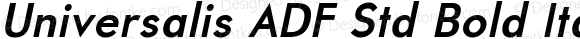 Universalis ADF Std Bold Italic
