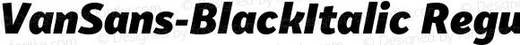 VanSans-BlackItalic Regular