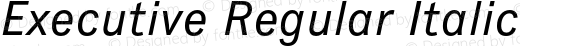 Executive Regular Italic