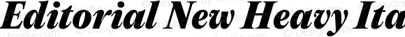 Editorial New Heavy Italic