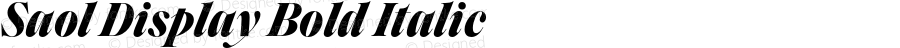 Saol Display Bold Italic