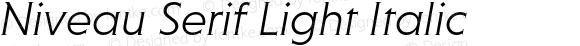 NiveauSerifLight-Italic