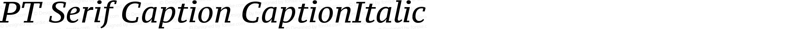 PT Serif Caption CaptionItalic