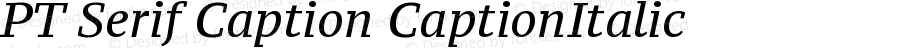 PT Serif Caption CaptionItalic