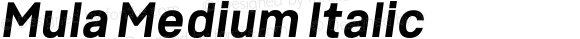 Mula Medium Italic