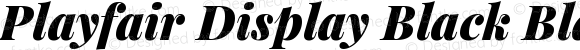 Playfair Display Black Italic