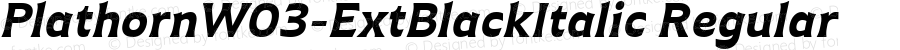 Plathorn W03 Ext Black Italic