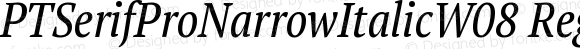 PT Serif Pro Narrow Italic W08