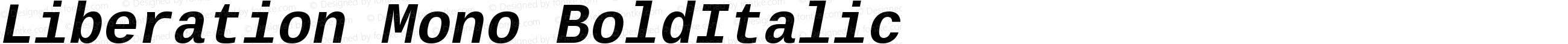 Liberation Mono Bold Italic