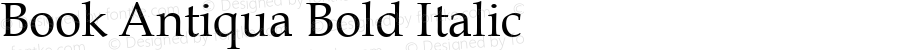 Book Antiqua Bold Italic