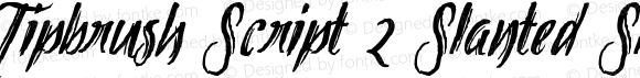 Tipbrush Script 2 Slanted